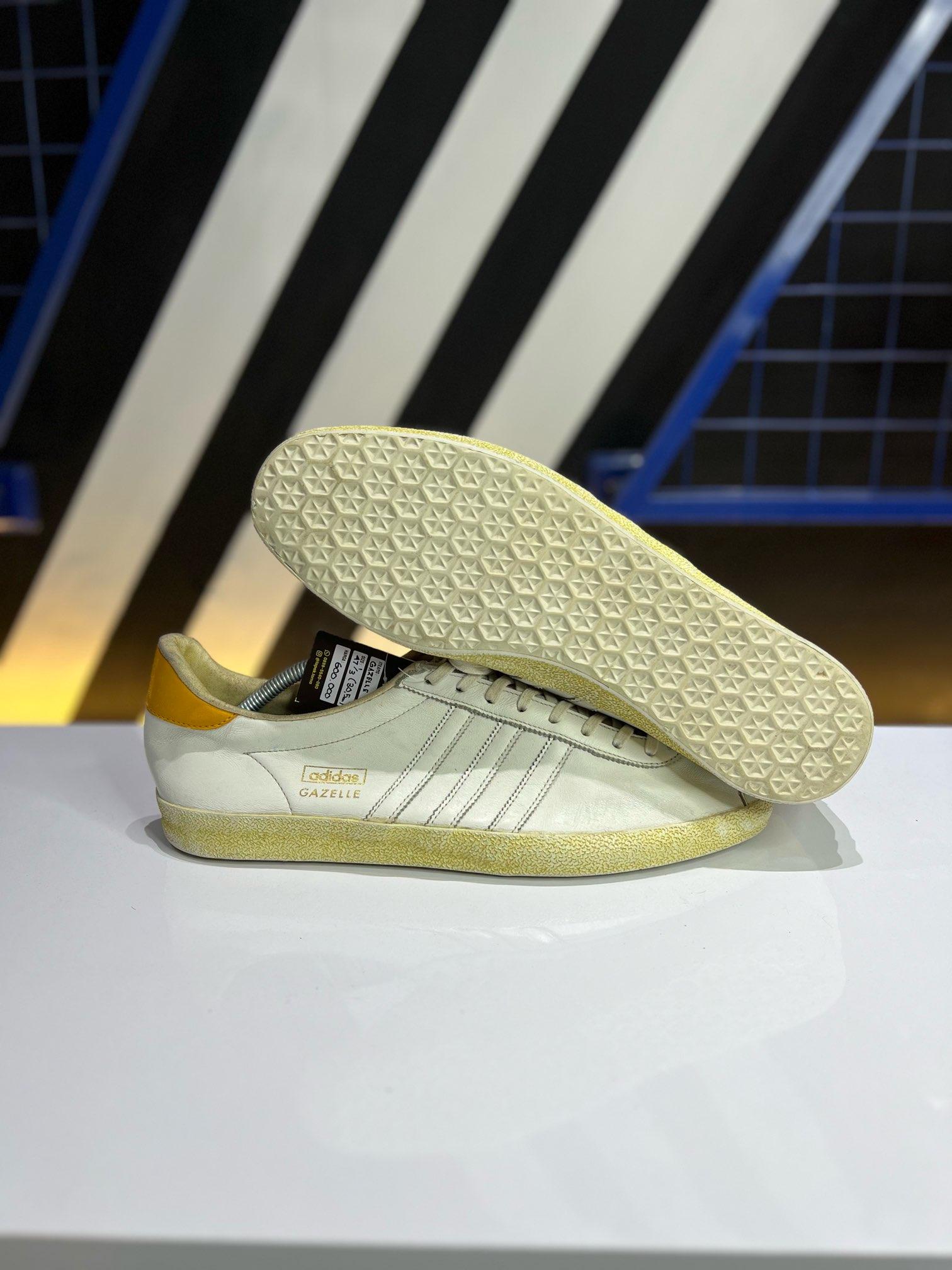 Gazelle II