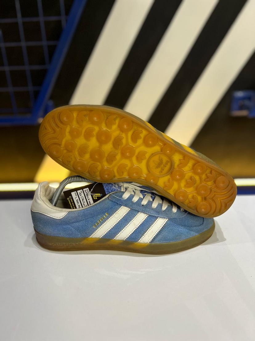 Gazelle indoor 