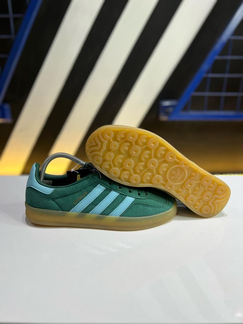 Gazelle indoor 