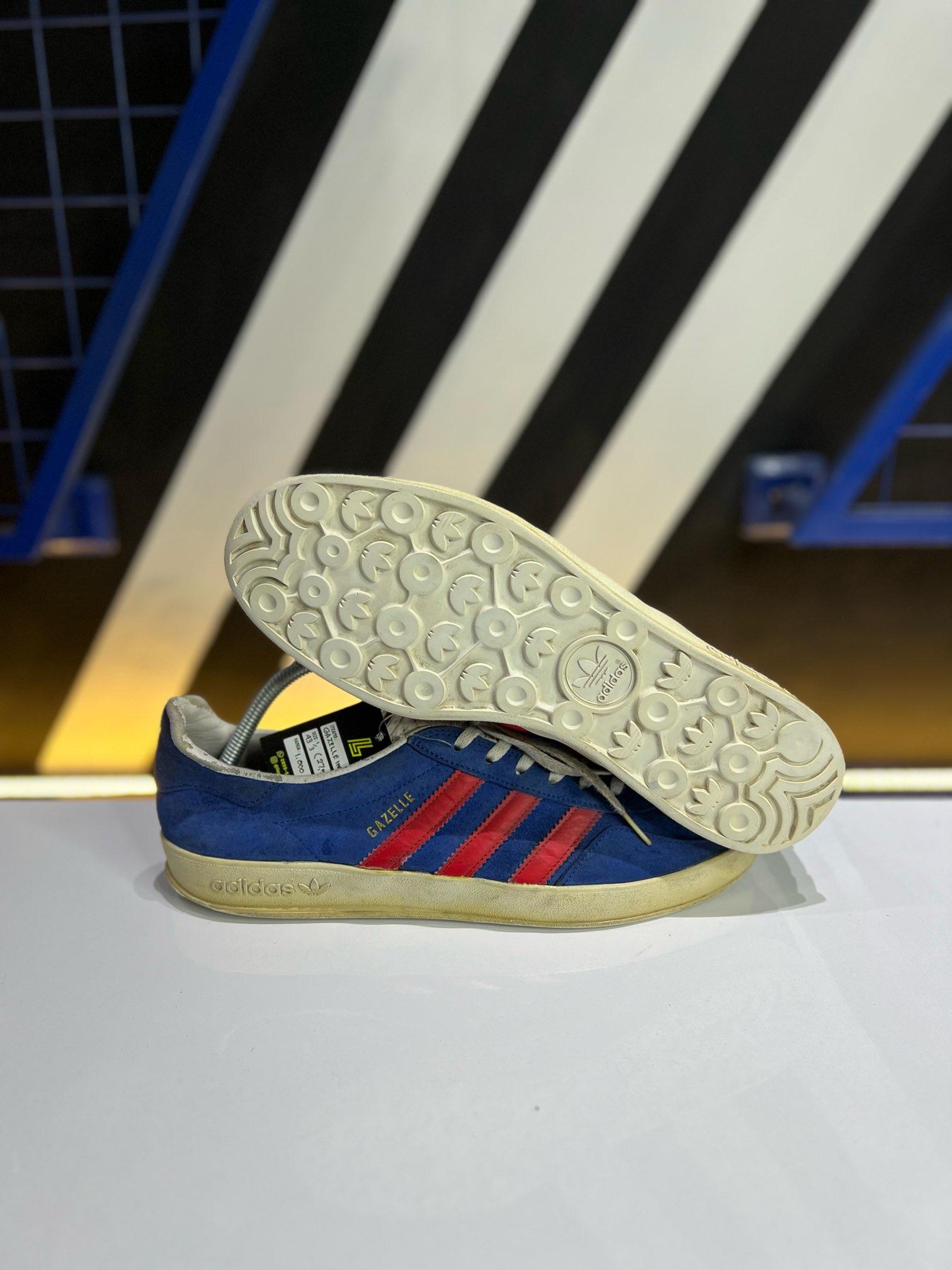 Gazelle indoor