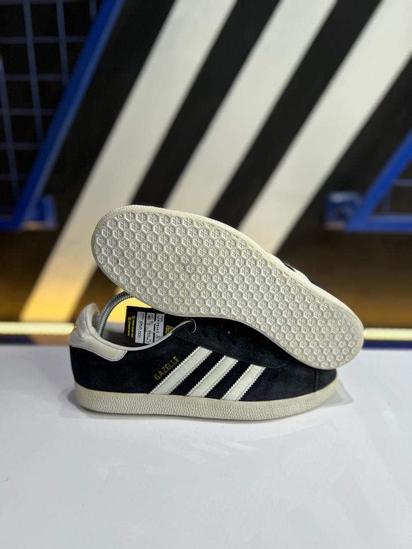 Gazelle II