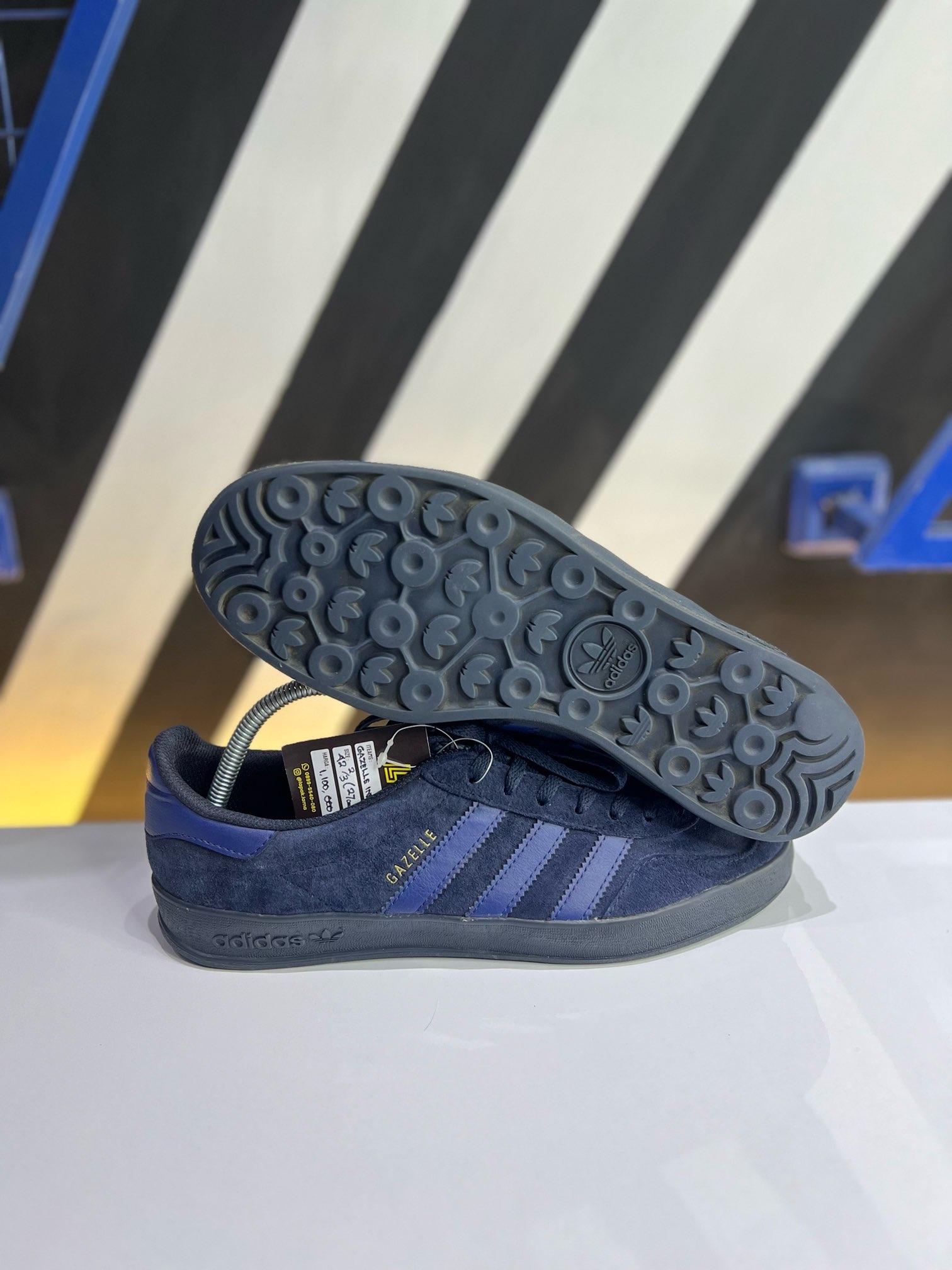 Gazelle Indoor
