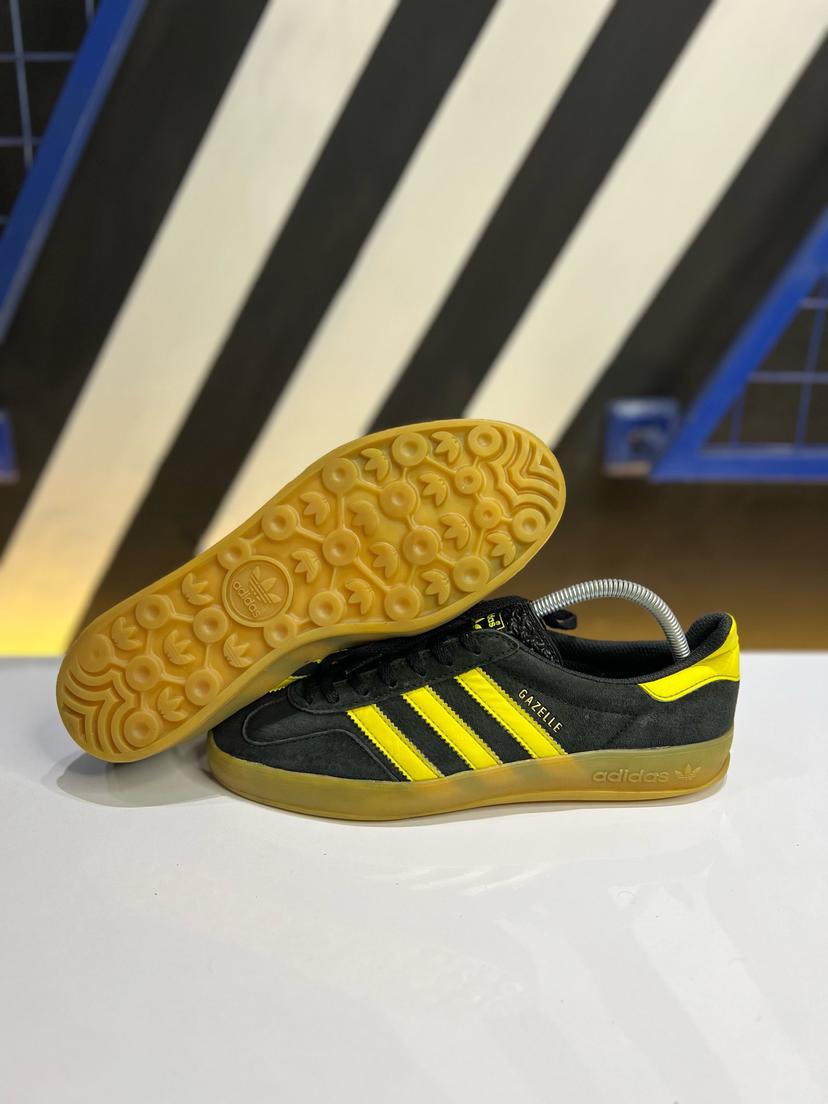 Gazelle indoor 