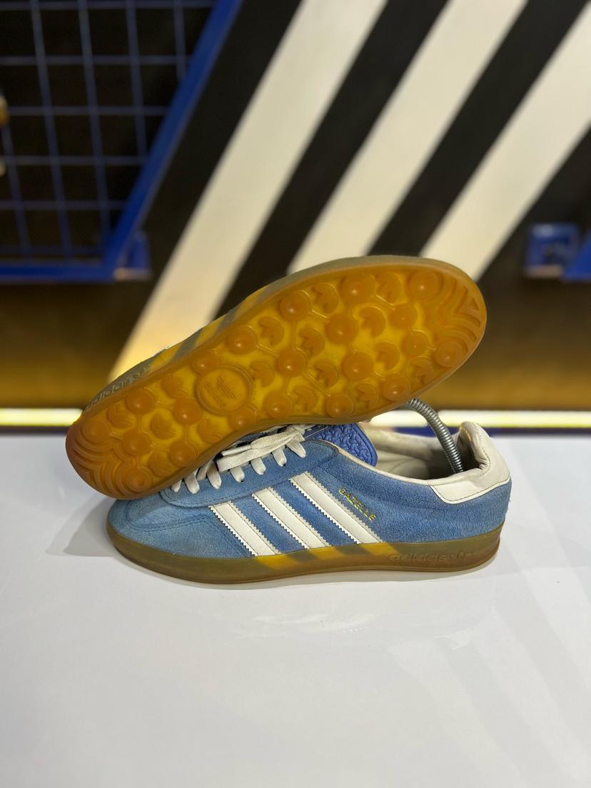 Gazelle indoor 