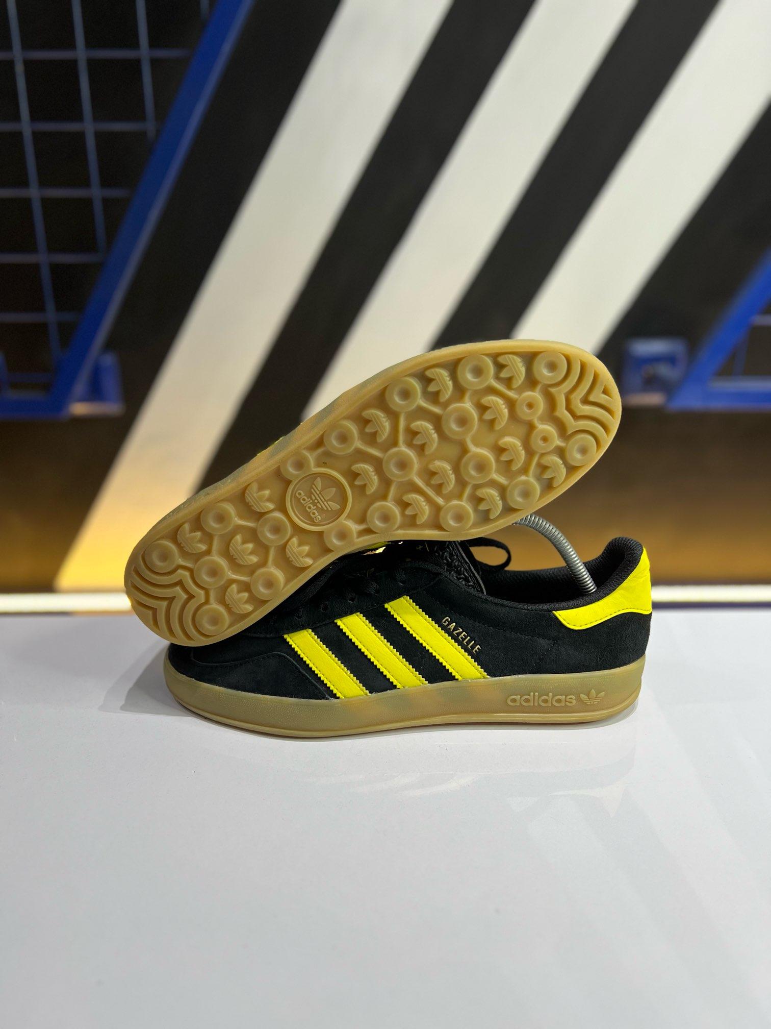 Gazelle indoor 