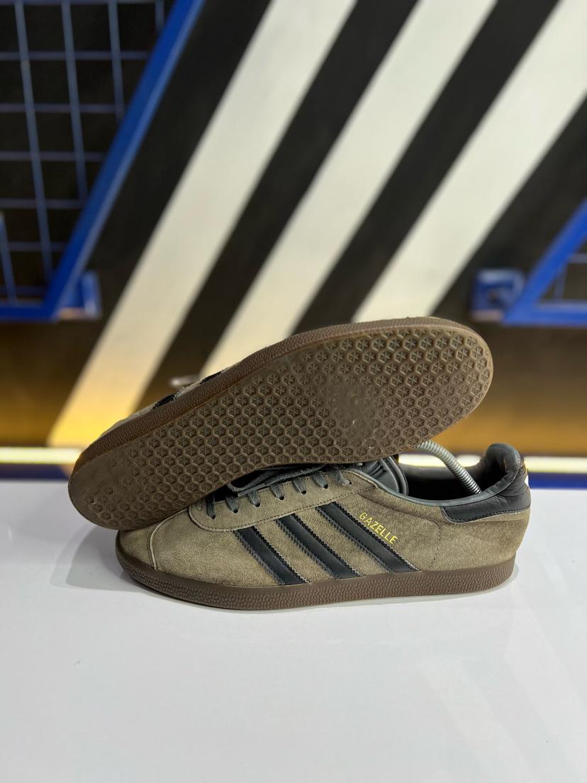 Gazelle II