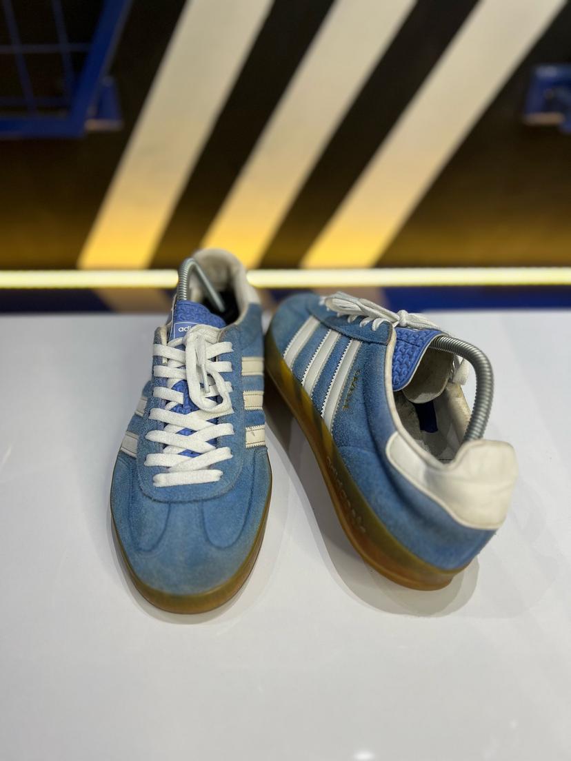 Gazelle indoor 