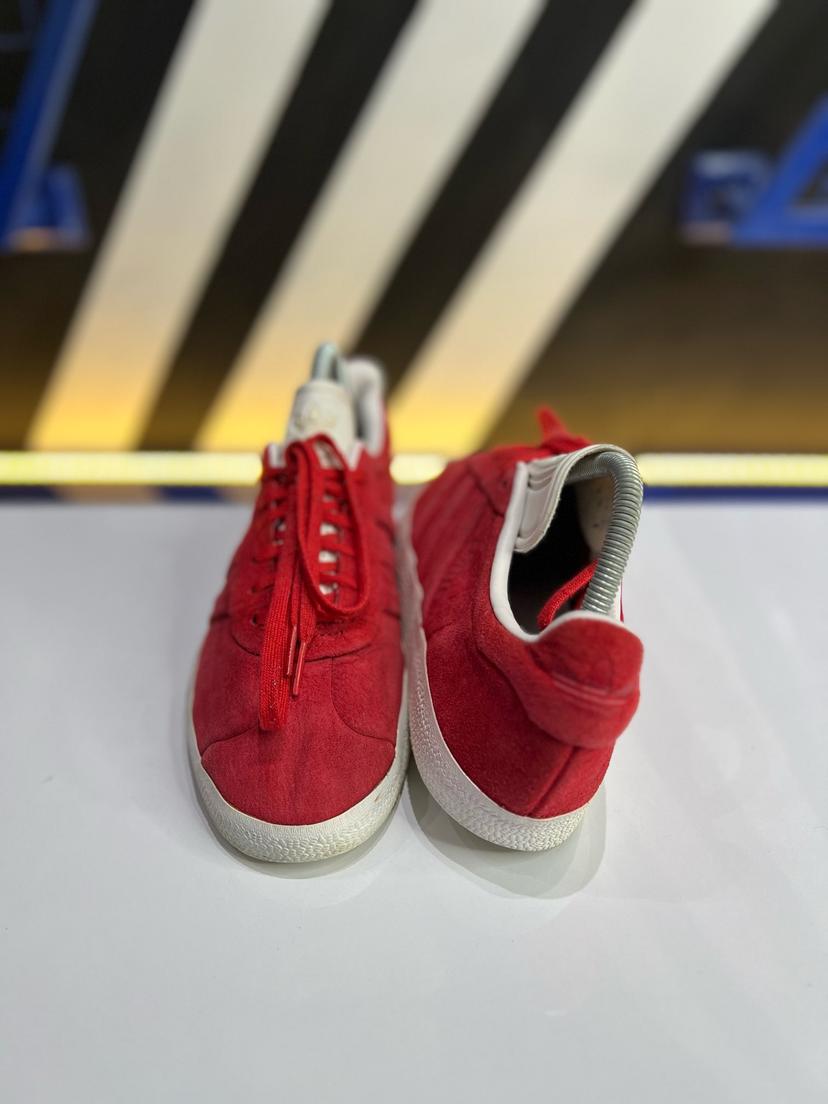 Gazelle II 