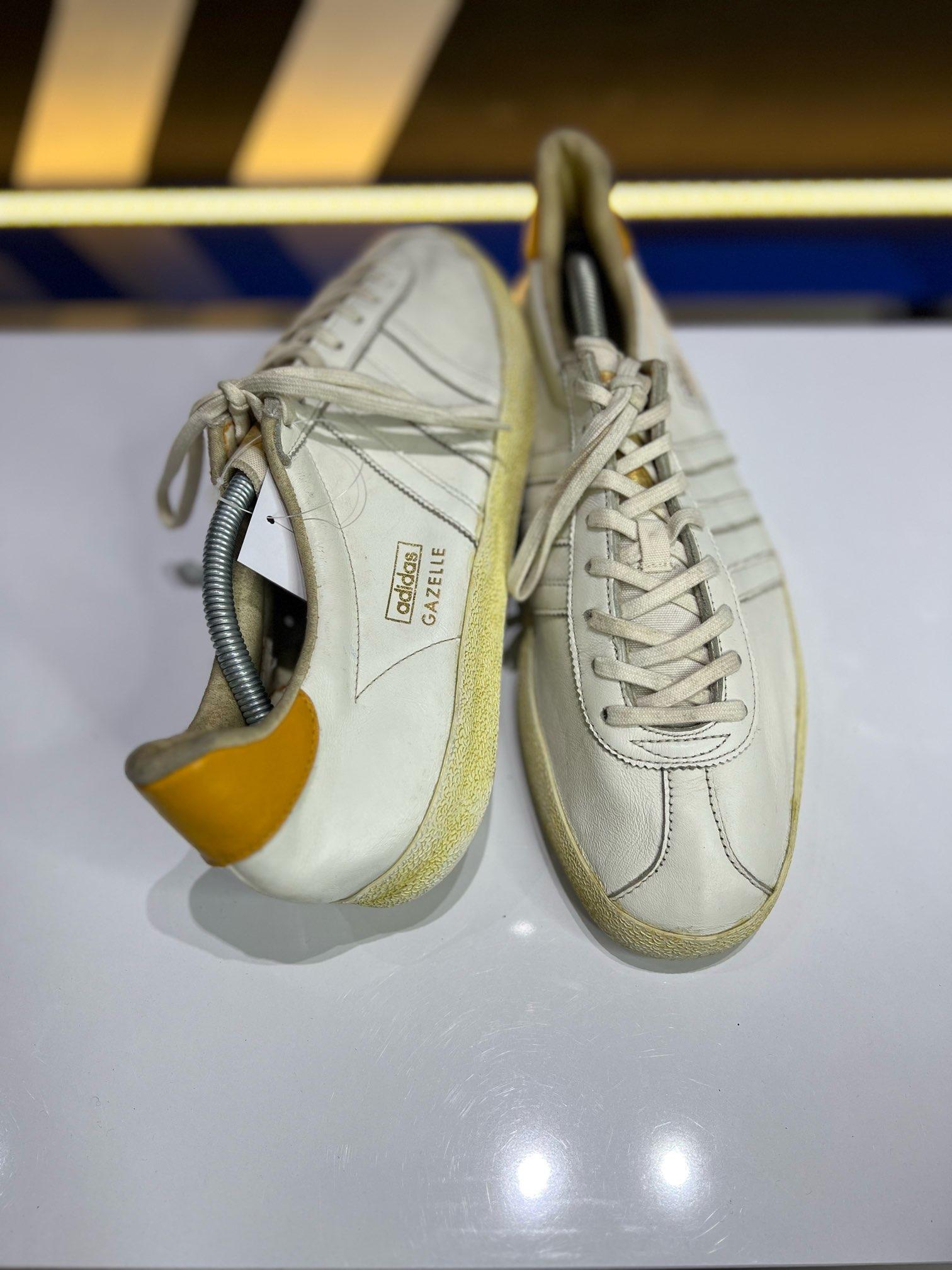 Gazelle II