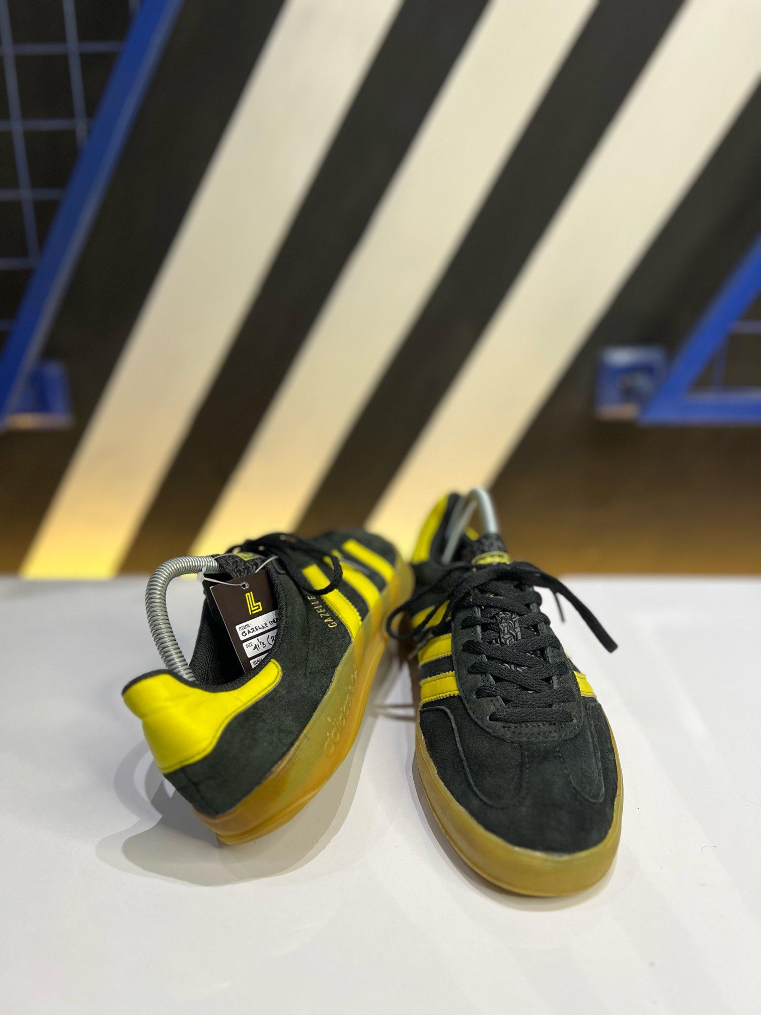 Gazelle indoor 