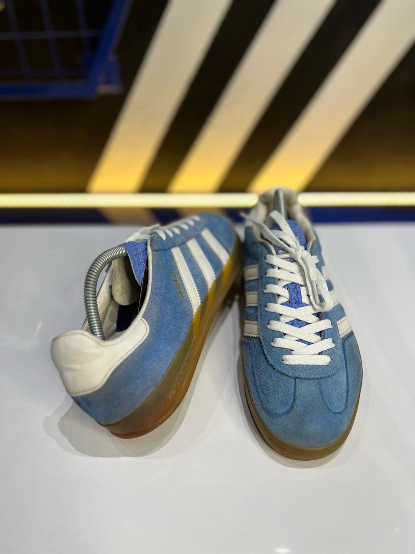 Gazelle indoor 