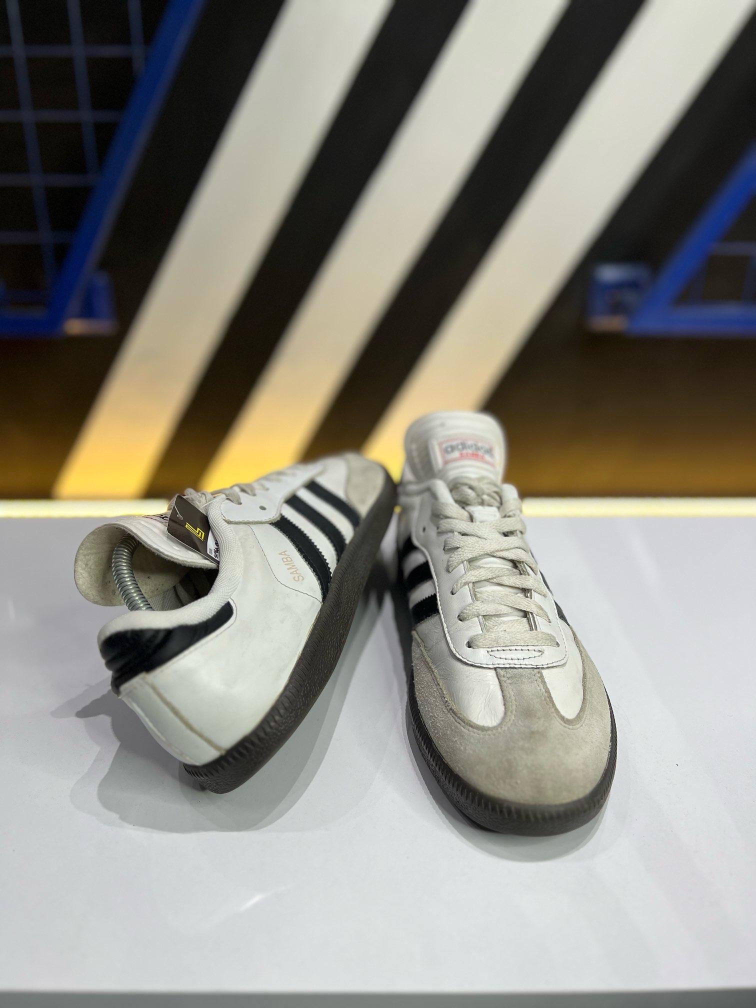 Samba classic 