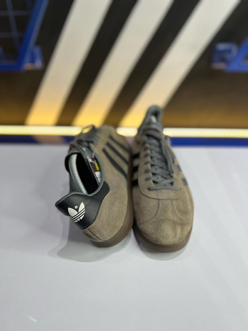 Gazelle II