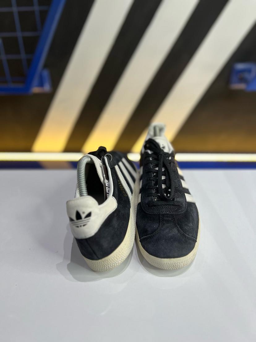 Gazelle II