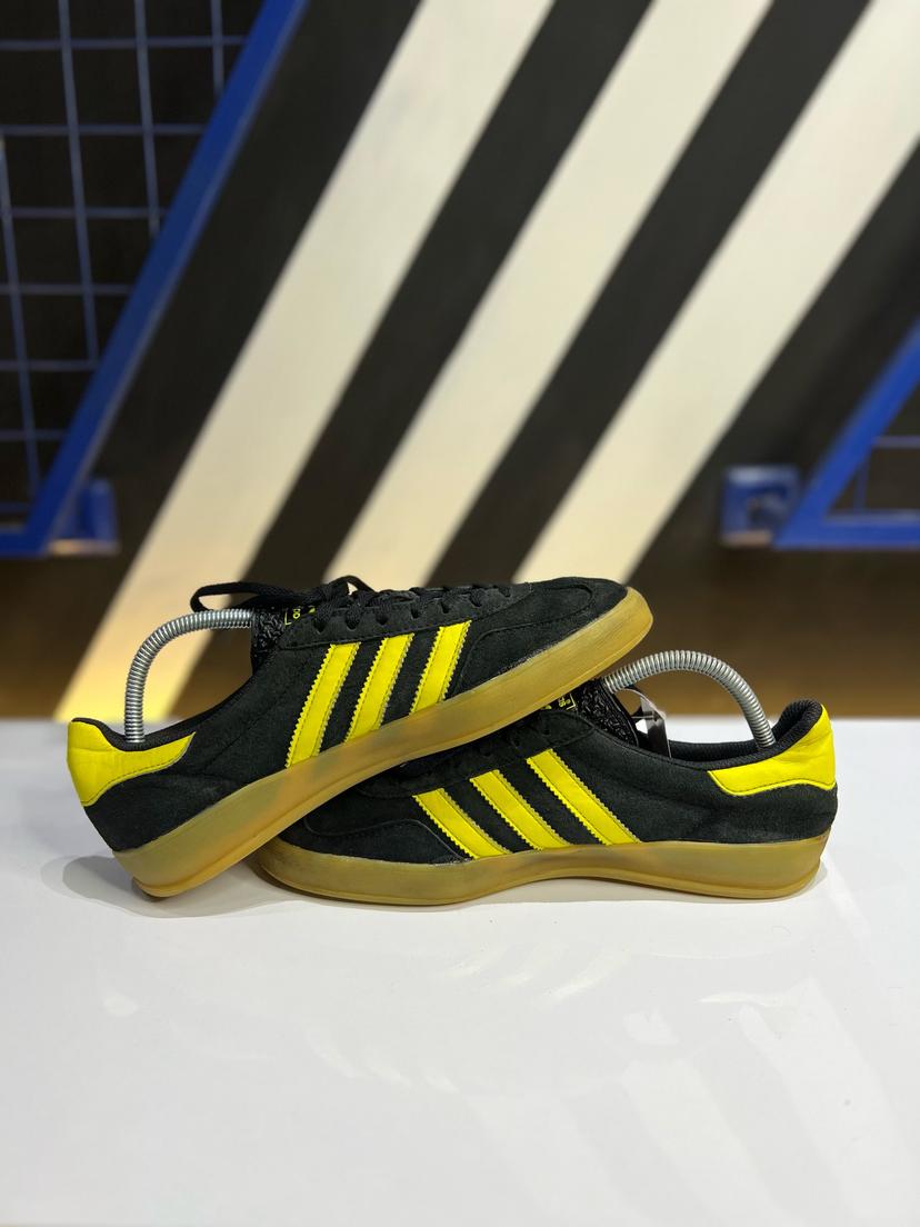 Gazelle indoor 