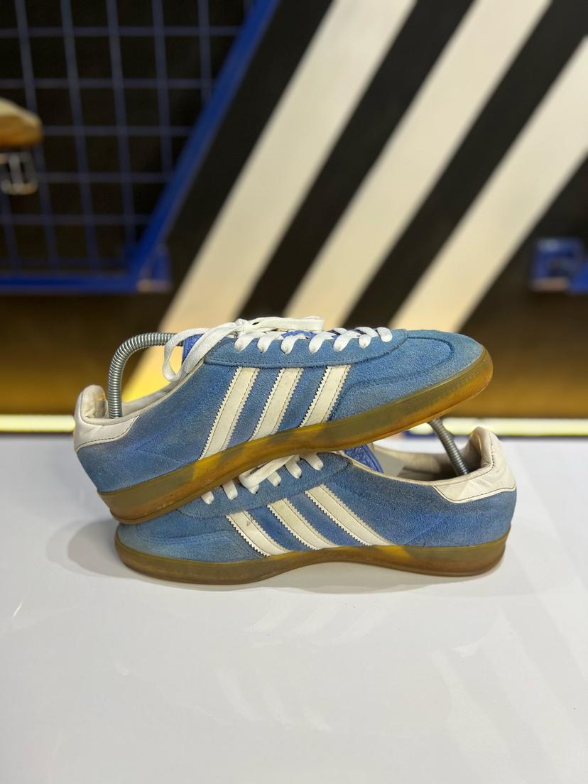 Gazelle indoor 