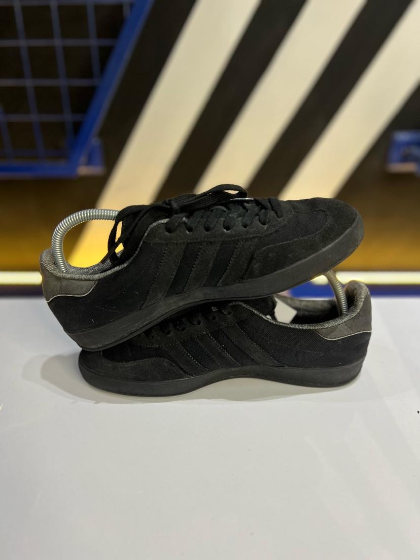 Gazelle indoor 