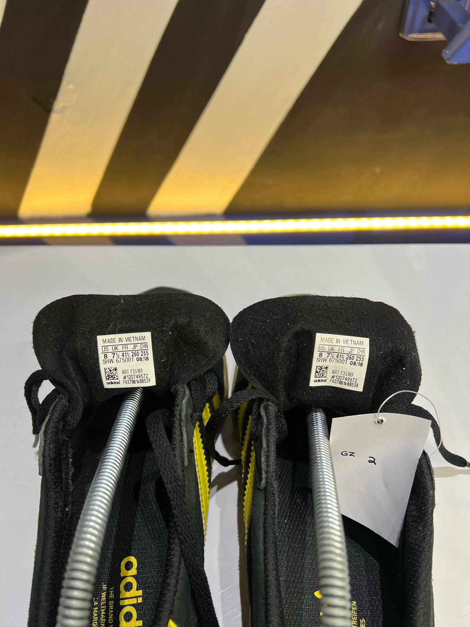 Gazelle indoor 