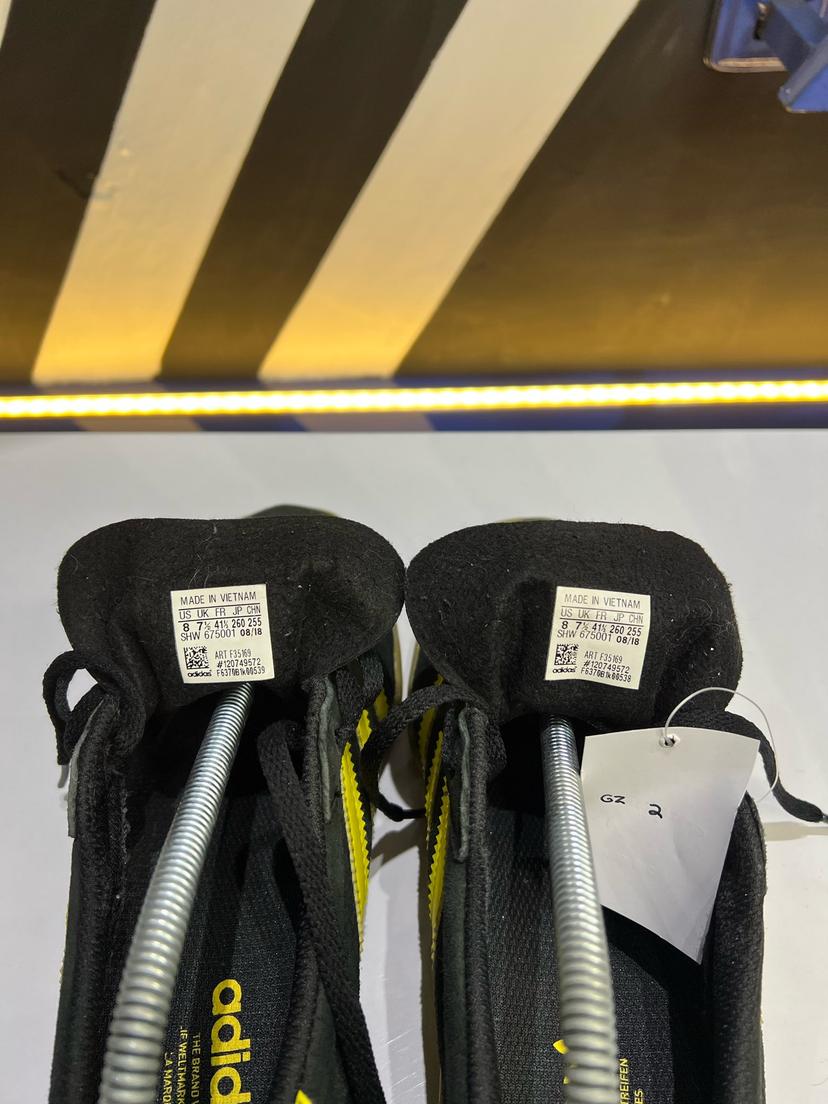Gazelle indoor 