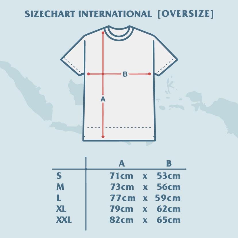 EX Tshirt "LL Indonesia Island Series GRAY"